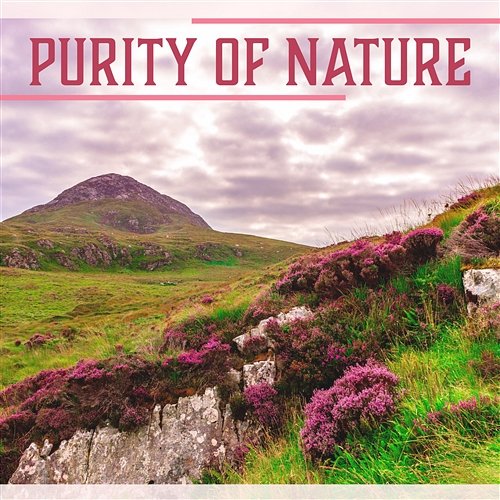 Purity of Nature – Collection of Nature Sounds, Water, Rain, Crickets, Forest Sounds, Garden Sounds, Relaxation and Meditation Calm Nature Oasis