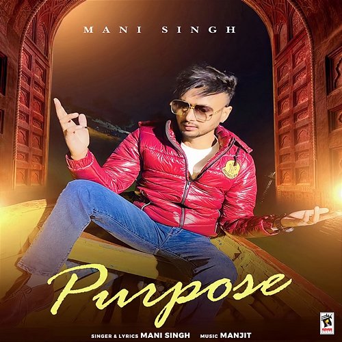 Purpose Mani Singh
