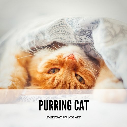 Purring Cat Everyday Sounds Art