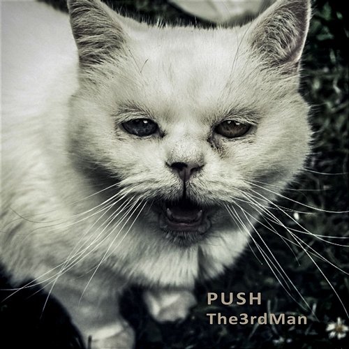 Push! THE3rdMAN