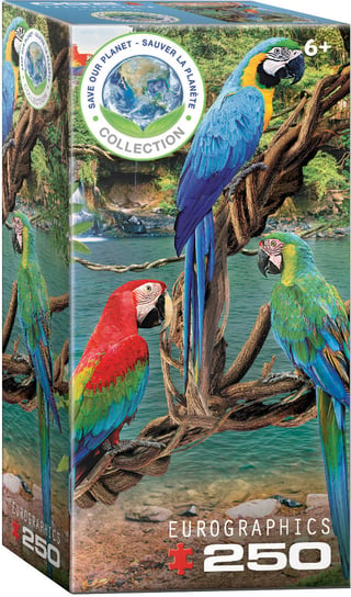 Puzzle 250 Macaws 8251-5588 EuroGraphics