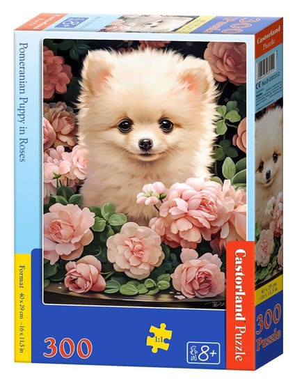 Puzzle 300 Pomeranian Puppy In Roses B-030552 Castorland
