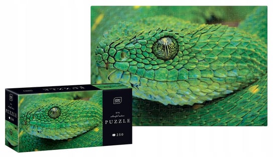 Puzzle Colourf Nat Snake Interdruk, 250 el. Interdruk