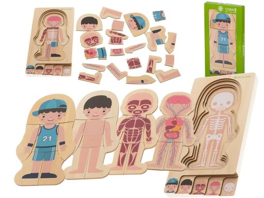 Puzzle drewniane ciało anatomia chłopczyk ikonka