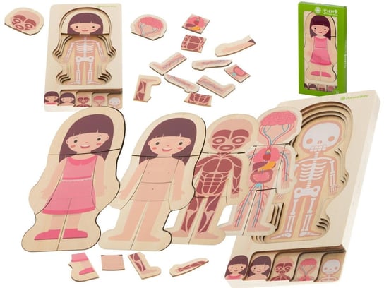 Puzzle drewniane ciało anatomia dziewczynka Kontext