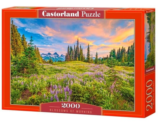 Puzzle Górska Polana Blossom Of Morning, 2000 el. Castorland