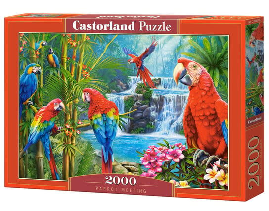 Puzzle Parrot Meeting, 2000 el. Castorland