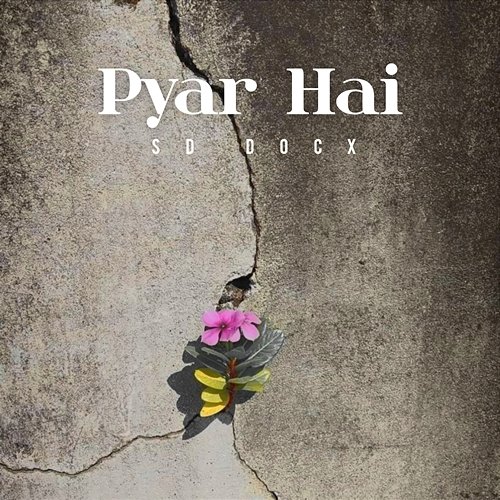 Pyar Hai SD Docx