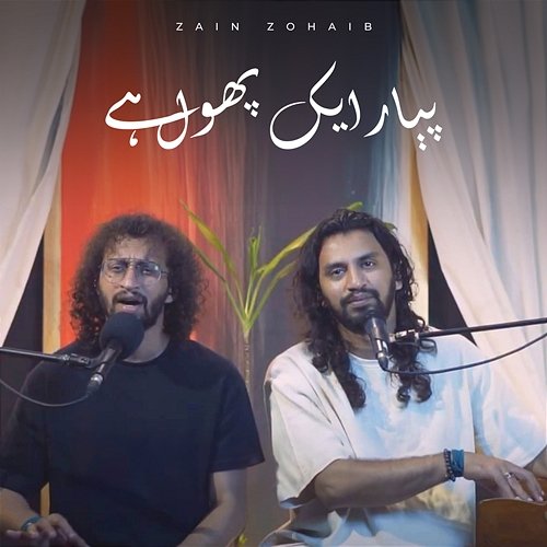 Pyar Ik Phool Hai Zain Zohaib