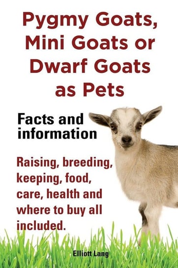 Pygmy Goats as Pets. Pygmy Goats, Mini Goats or Dwarf Goats Lang Elliott
