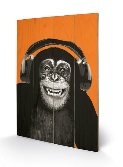 Pyramid International, grafika na drewnie, Chimpanzee Headphones Pyramid International