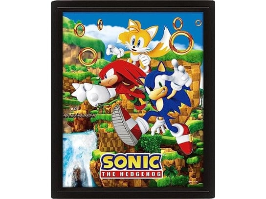 Pyramid International Sonic the Hedgehog Plakat w 3D (projekt Catching Rings) Soczewkowa grafika ścienna 3D i plakaty w czarnej ramce na zdjęcia 25 cm x 20 cm x 1,5 cm - oficjalny towar Inna marka