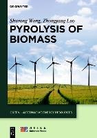 Pyrolysis of Biomass Wang Shurong, Luo Zhongyang