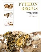 Python regius Broghammer Stefan