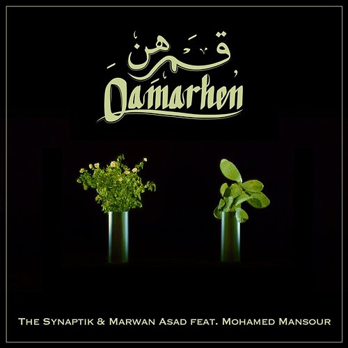 Qamarhen The Synaptik & Marwan Asad feat. Mohamed Mansour