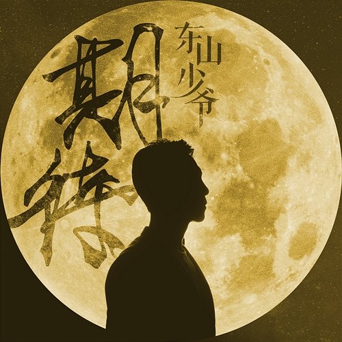 Qi Dai Dong Shan Shao Ye