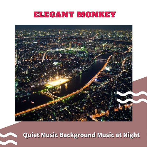 Quiet Music Background Music at Night Elegant Monkey