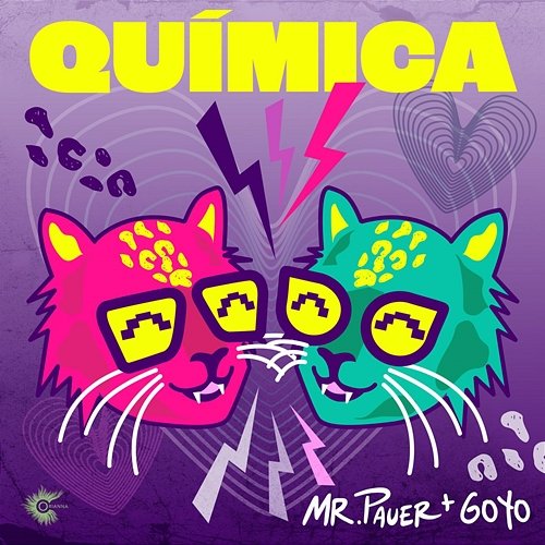 Química Goyo, Mr. Pauer