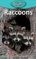 Raccoons Blakemore Victoria
