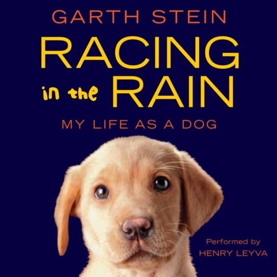Racing in the Rain Stein Garth