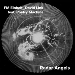 Radal Angel, płyta winylowa FM Einheit