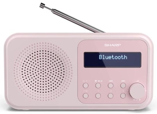 Radio SHARP Tokyo DR-P420(PK) Sharp