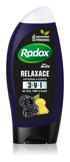 Radox Men Feel Wild żel i szampon pod prysznic 3 w 1 Blackberry & Ginger 250ml Radox