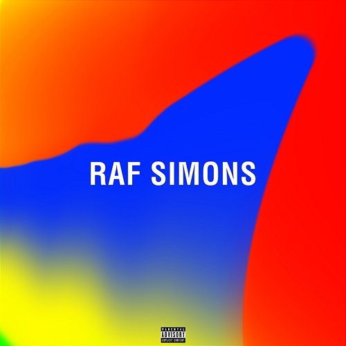 raf simons Nicholas Naison