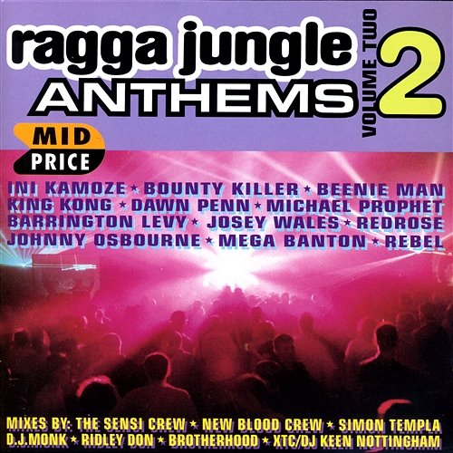 Ragga Jungle Anthems Vol. Two Various Artists
