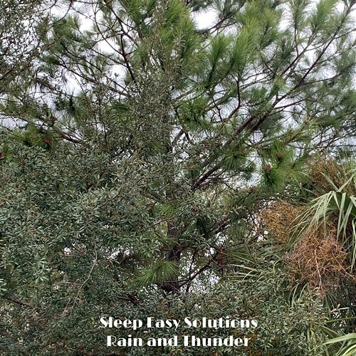Rain and Thunder Sleep Easy Solutions
