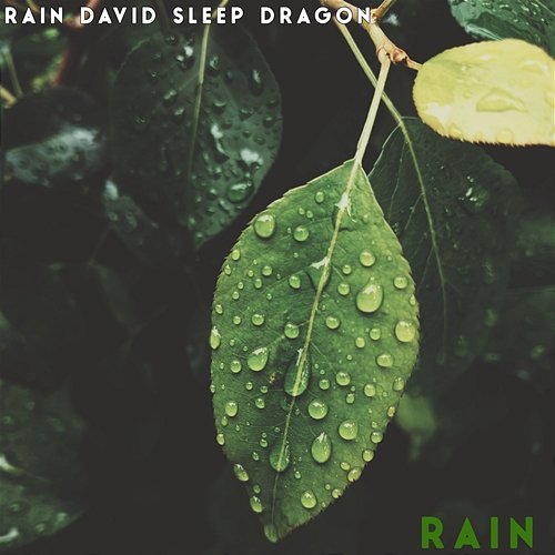 Rain Rain David Sleep Dragon