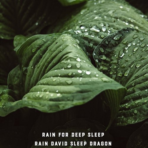 Rain for Deep Sleep Rain David Sleep Dragon