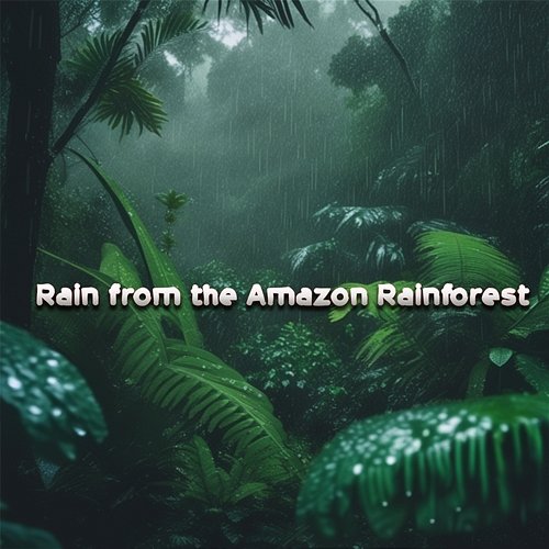 Rain from the Amazon Rainforest Rain David Sleep Dragon