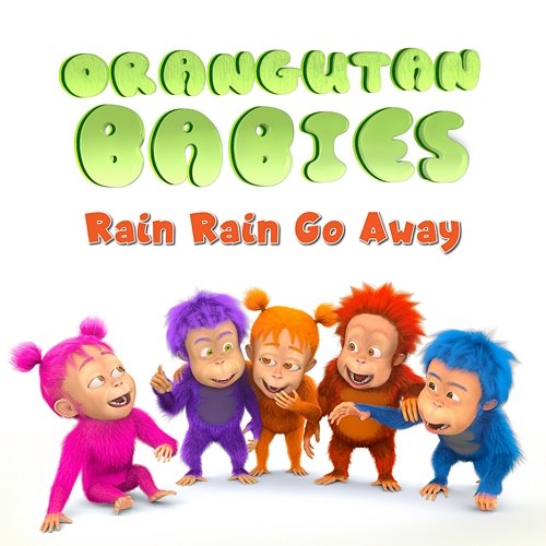 Rain Rain Go Away Orangutan Babies