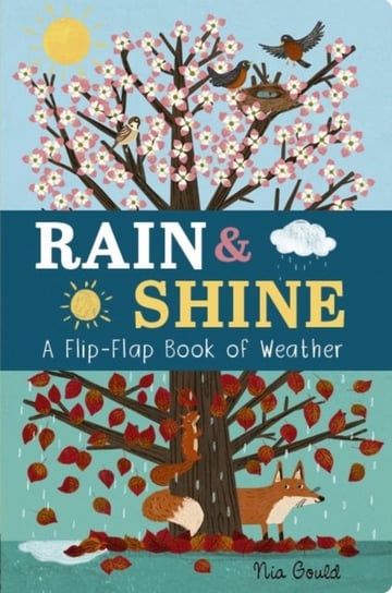 Rain & Shine: A Flip-Flap Book of Weather Molly Littleboy