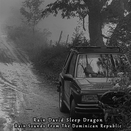 Rain Sounds from the Dominican Republic Rain David Sleep Dragon