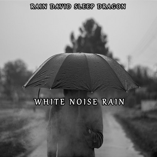 Rain White Noise Rain David Sleep Dragon