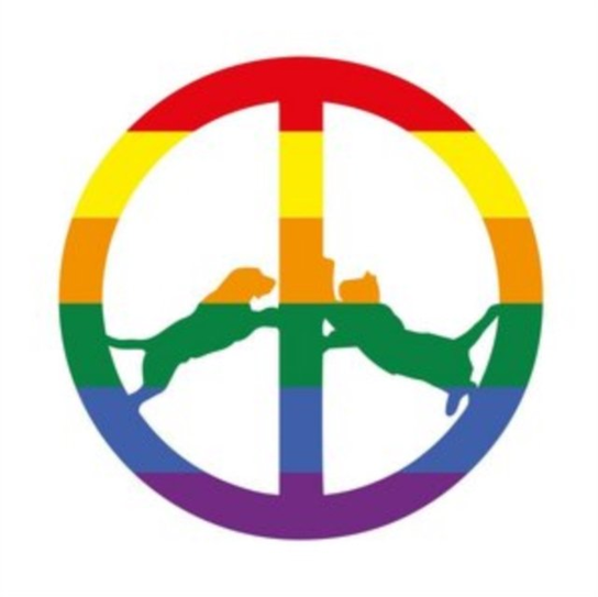 Rainbow Edition Hype Williams