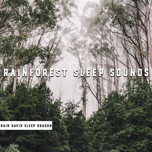 Rainforest Sleep Sounds Rain David Sleep Dragon
