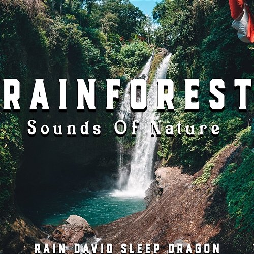 Rainforest - Sounds of Nature Rain David Sleep Dragon