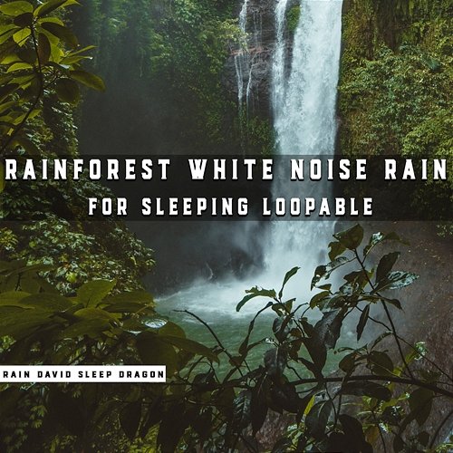 Rainforest White Noise Rain for Sleeping Loopable Rain David Sleep Dragon