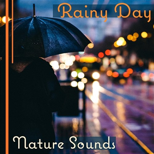 Rainy Day: Nature Sounds – Instrumental Music for Calm Mind, Soothing & Relaxation Tracks, Feel Good, Peaceful Sleep Zen Natural Sounds