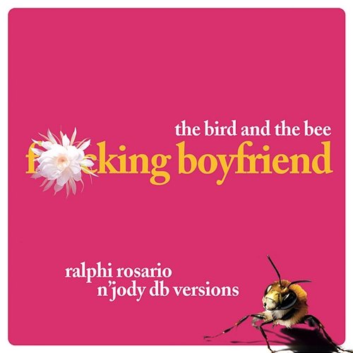 Ralphi Rosario N' Jody Db Versions the bird and the bee