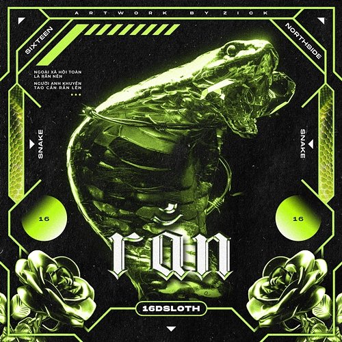 RẮN 16 Dsloth