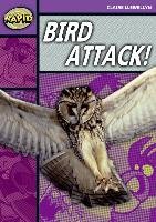 Rapid Stage 1 Level B: Bird Attack! (Series 2) Llewellyn Claire
