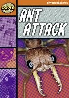 Rapid Stage 4 Set B: Ant Attack (Series 1) Middleton Haydn
