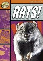 Rapid Stage 4 Set B: Rats! (Series 1) Middleton Haydn