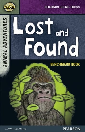 Rapid Stage 7 Assessment book: Lost and Found Opracowanie zbiorowe