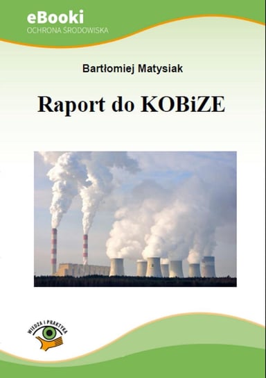 Raport do KOBiZE Matysiak Bartłomiej