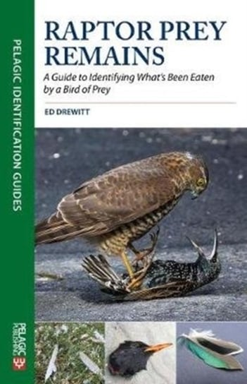 Raptor Prey Remains: A Guide to Identifying Whats Been Eaten by a Bird of Prey Ed Drewitt